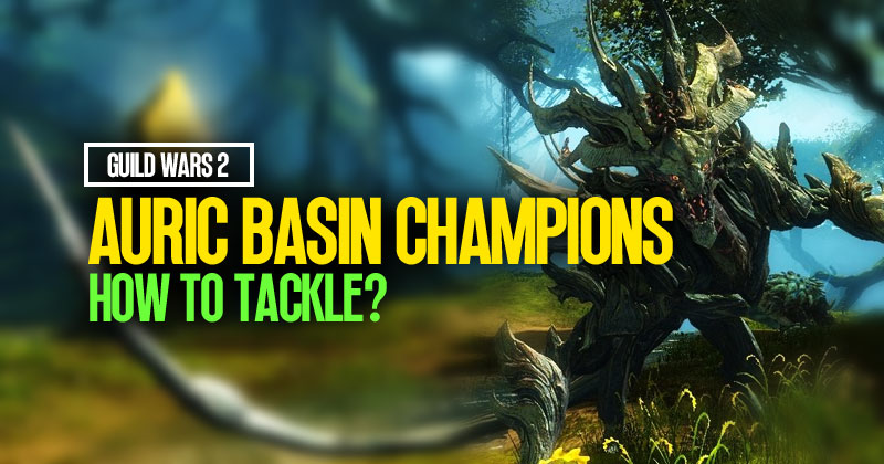 How to tackle the Champions in Auric Basin in Guild Wars 2?