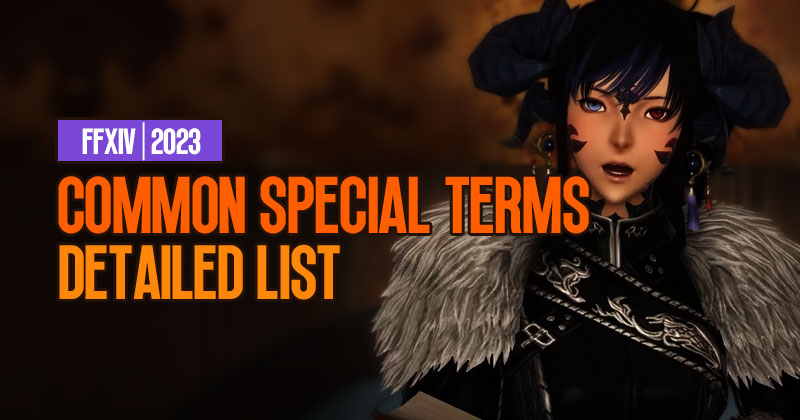 What special terms are commonly used in FFXIV, 2023?